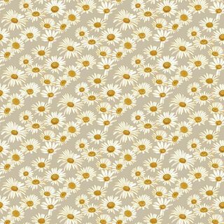 Daisies Adhesive Wallpaper