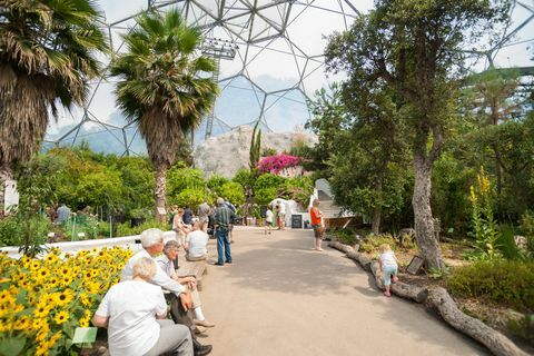 Eden Project Besucher in einer der Kuppeln