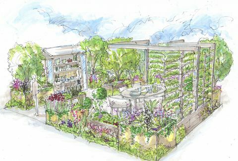 Chelsea Flower Show 2021, der Petersilienkastengarten, entworfen von Alan Williams