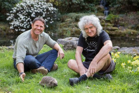 Steve Backshall, Brian May, Rettung der britischen Igel