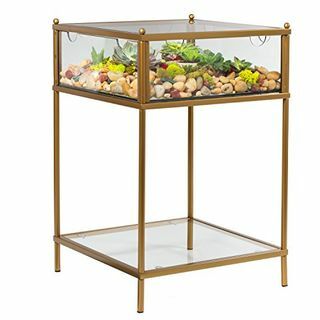 Terrarium Display Beistelltisch 