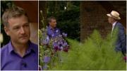 Chelsea Flower Show Kontroverse? Chris Beardshaw gewinnt die Silver-Gilt-Medaille für Morgan Stanley Garden