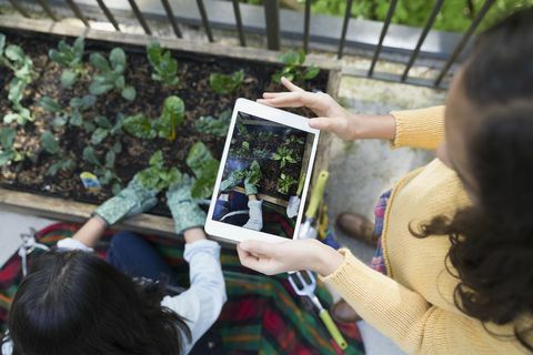 Obenliegendes Ansichtmädchen mit digitaler Tablette Muttergartenarbeit fotografierend