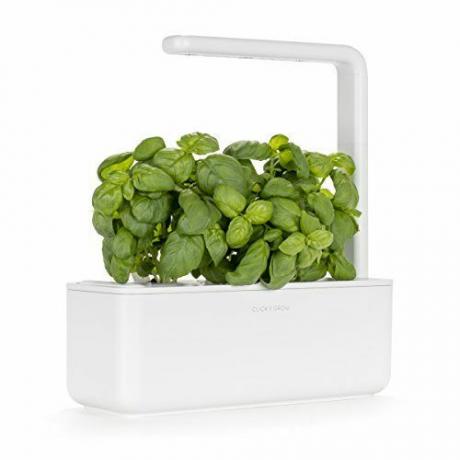 Smart Garden 3 – Kräutergarten für den Innenbereich