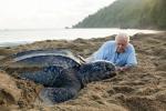 Sir David Attenborough unterstützt die Initiative Plastic Watch von BBC nach dem "erstaunlichen" Aufprall auf Blue Planet II