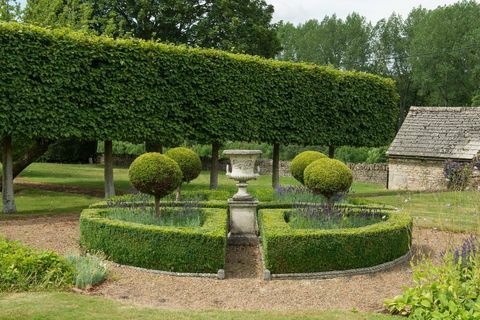 Brook House - Sherborne Estate - Autumnwatch - Gartenhecke - Butler Sherborn