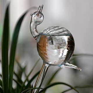Handgeblasenes klares Glas selbstbewässernd 