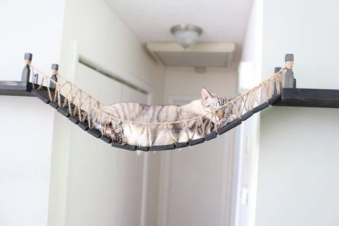 Roped Cat Bridge von Etsy