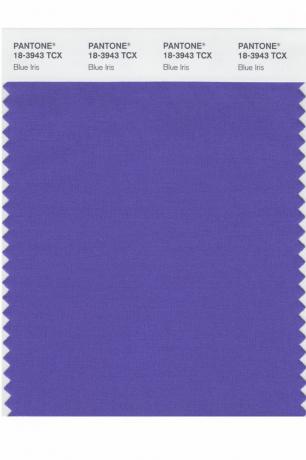 Pantone-Farbe des Jahres: 2000 – 2019