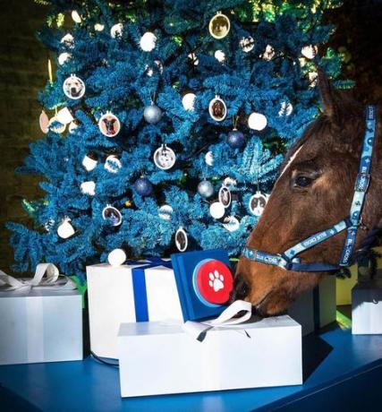 Die Wohltätigkeitsorganisation Blue Cross lanciert den ersten spendengetriebenen Weihnachtsbaum der Welt