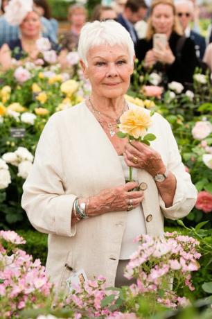 Judi Dench besucht den Pressetag der RHS Chelsea Flower Show 2017