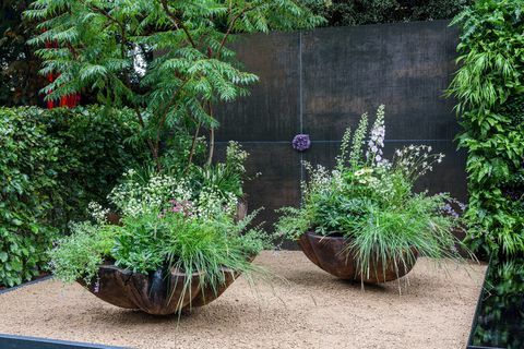 rhs chelsea flower show 2021 containergärten