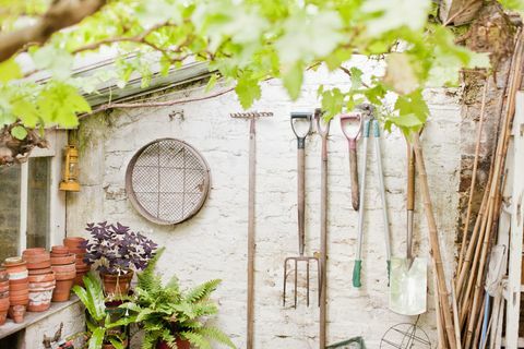 Werkzeuge, die an der Wand der Gartenhalle hängen