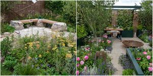 Rhs Hampton Court Palace Garden Festival Gärten und Gewinner