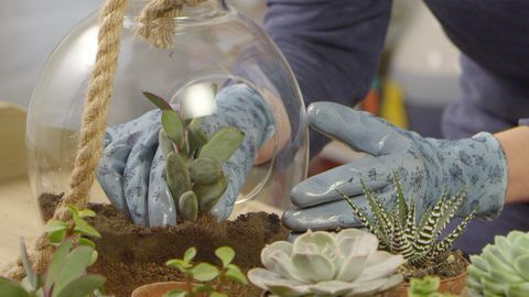 Wie man ein Osterterrarium macht