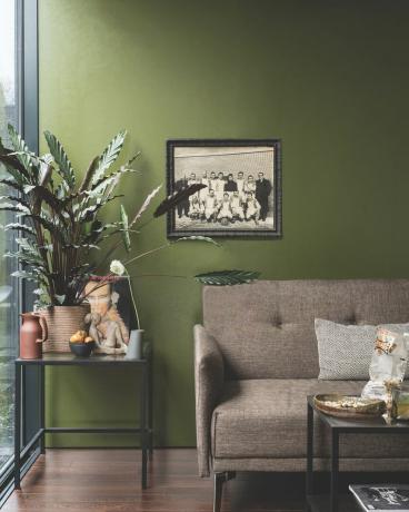 Green Farrow & Ball Wohnzimmer