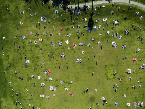 Obenliegende Ansicht von Leuten in einem Stadtpark an einem Sommertag, sitzend und stehen, auf Picknickdecken.