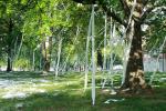 Die besten Möglichkeiten, Toilettenpapier von Ihren Bäumen zu entfernen 2023