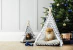 Aldi Special Buys: Aldi Selling £ 39.99 Haustier Schlafsofa für Weihnachten