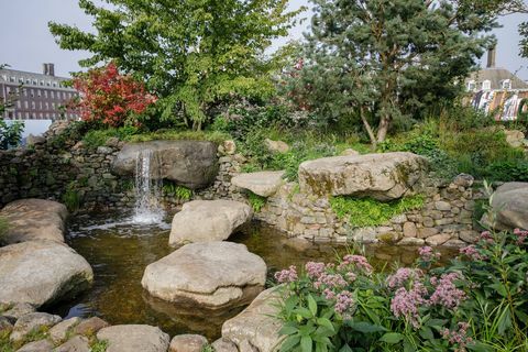 RHS Chelsea Flower Show 2021 Sanctuary Gardens