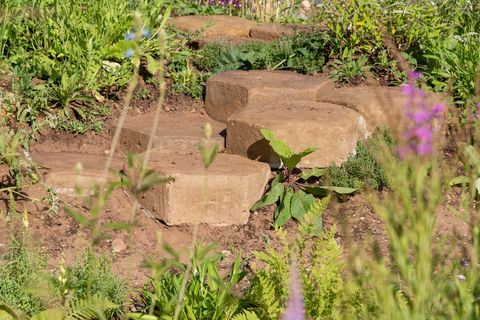 Countryfiles Garten zum 30-jährigen Jubiläum. Entworfen von: Ann-Marie Powell. Feature Garten. RHS Hampton Court Palace Blumenschau 2018