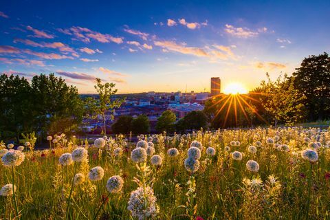 Die untergehende Sonne über der Skyline von Sheffield City