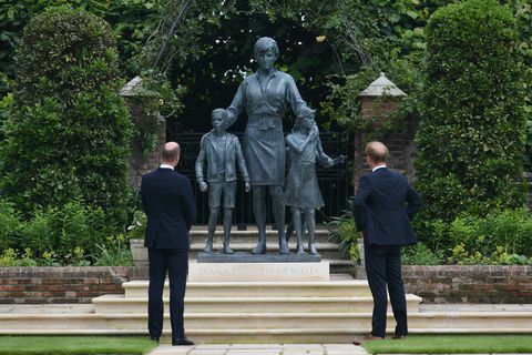 Prinz William und Prinz Harry stehen vor der Statue von Prinzessin Diana﻿