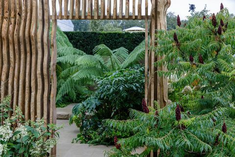 RHS Chelsea Flower Show 2021 Sanctuary Gardens