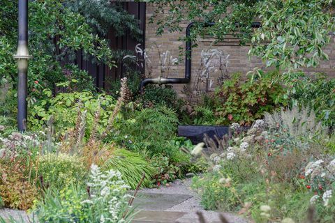 rhs chelsea flower show 2021 schaugärten