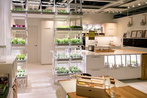Ikea Greenwich - nachhaltiges Geschäft eröffnet