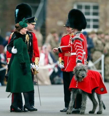 Prinz William und Kate Middleton St Patrick's Day