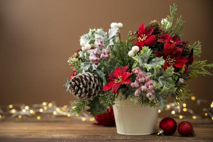 Weihnachtsfestliches Arrangement mit rotem Weihnachtsstern auf braunem Hintergrund mit Bokeh-Lichtern