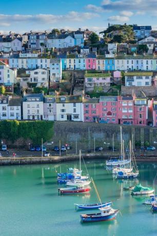 Brixham Hafen