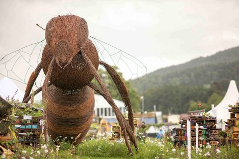 RHS Chatsworth Flower Show 2017 heute (Dienstag, 6. Juni 2017) RHS-Schulwettbewerb - Bug Hotels