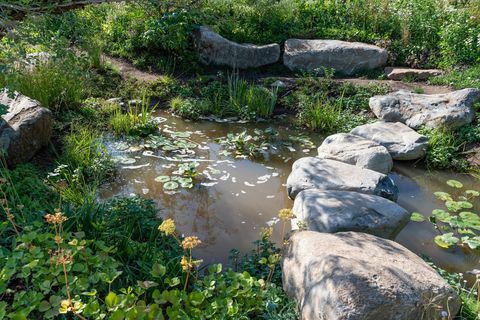 Countryfiles Garten zum 30-jährigen Jubiläum. Entworfen von: Ann-Marie Powell. Feature Garten. RHS Hampton Court Palace Blumenschau 2018