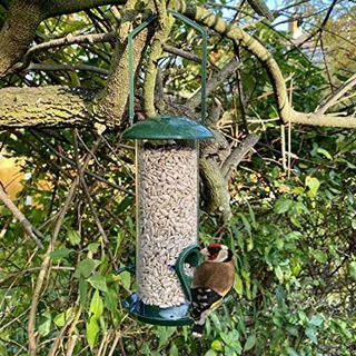 Vogelhäuschen mit vorgefüllten Sonnenblumenkernen