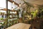 Airbnb und Pantone arbeiten bei Greenery 'Outside In' in London zusammen