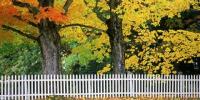 Tipps und Ideen für die Landschaftsgestaltung im Herbst
