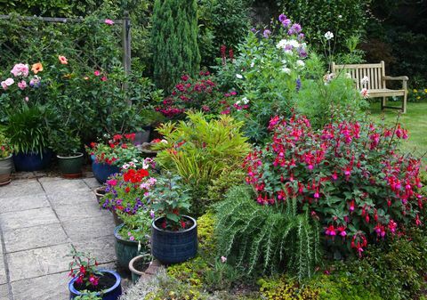 Helle Blumen im englischen Garten mit Terrassentöpfen und Blumenbeeten.