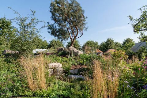 Countryfiles Garten zum 30-jährigen Jubiläum. Entworfen von: Ann-Marie Powell. Feature Garten. RHS Hampton Court Palace Blumenschau 2018