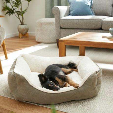 Frisco Bolster Hundebett