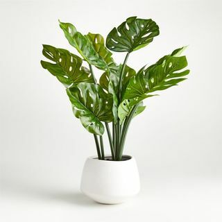 Faux Potted Monstera