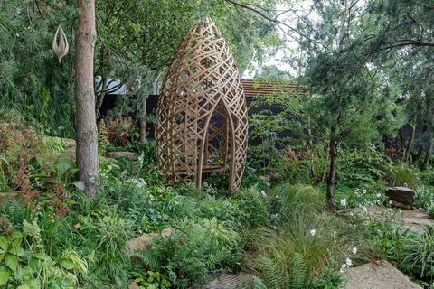 rhs chelsea flower show 2021 bester schaugarten guangzhou china, guangzhou garden designed by peter chmiel with chin jung chenjpg