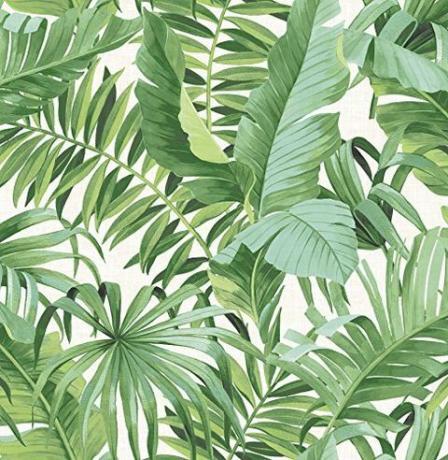 Palm Leaf Hintergrund