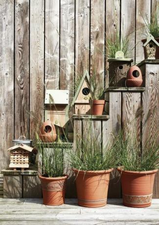 National Trust Wildlife Houses Frühjahr 2019 - Vogelhäuschen und -häuser: Terracotta Acorn Bird Feeder, £ 15 Galvanized Bird Futterdose, £ 20 Fledermausbox von National Trust, Sammlung Stourhead, £ 22 Vogelhaus von National Trust, Sammlung Wicken Fen, £ 25 