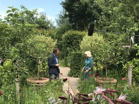 Camilla, Herzogin von Cornwall, wird während eines Auftritts in der BBC-Programmgärtnerwelt über ihren Garten interviewt