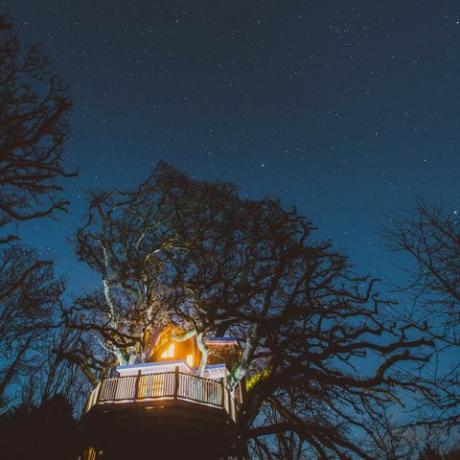 Baumwipfel-Baumhaus - Devon - Nacht - Überdachung u. Sterne