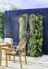 Dobbies Garden Centers bringt Living Wall Planters auf den Markt