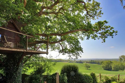 Roughway Cottage - Kent - Baum - Savills