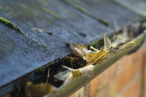 Herbstlaub blockiert Wohnrinne.